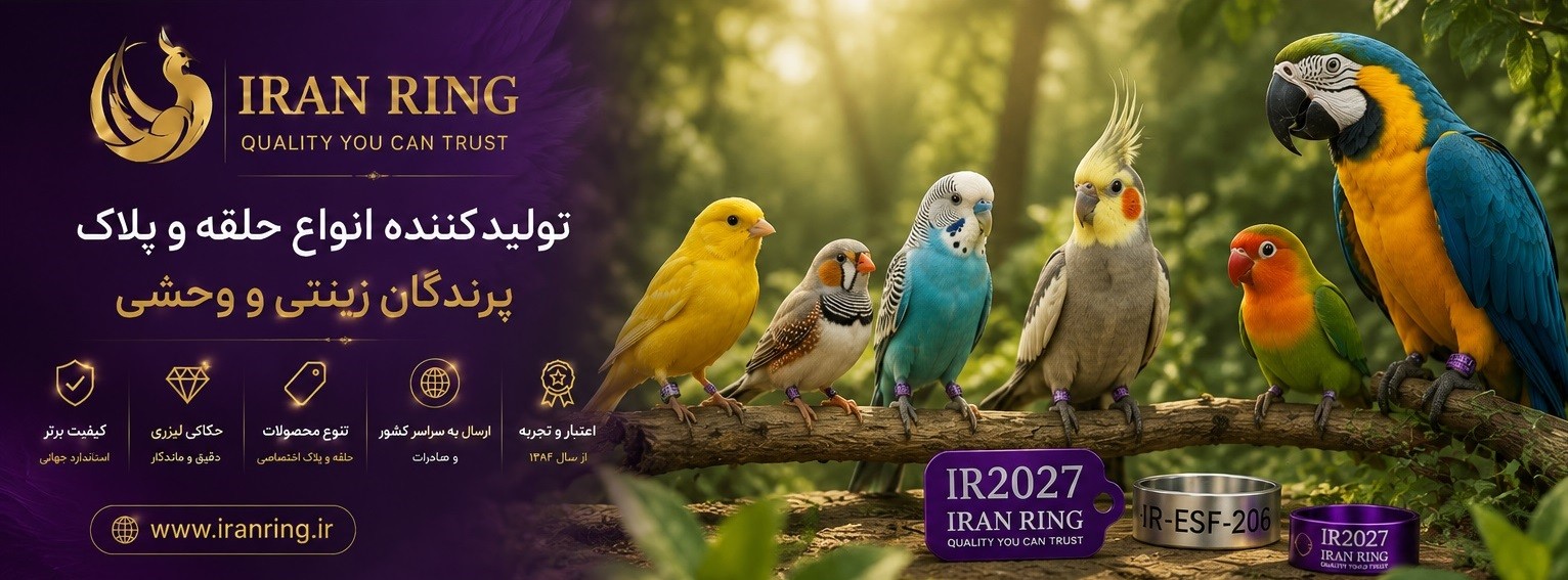 ایران رینگ